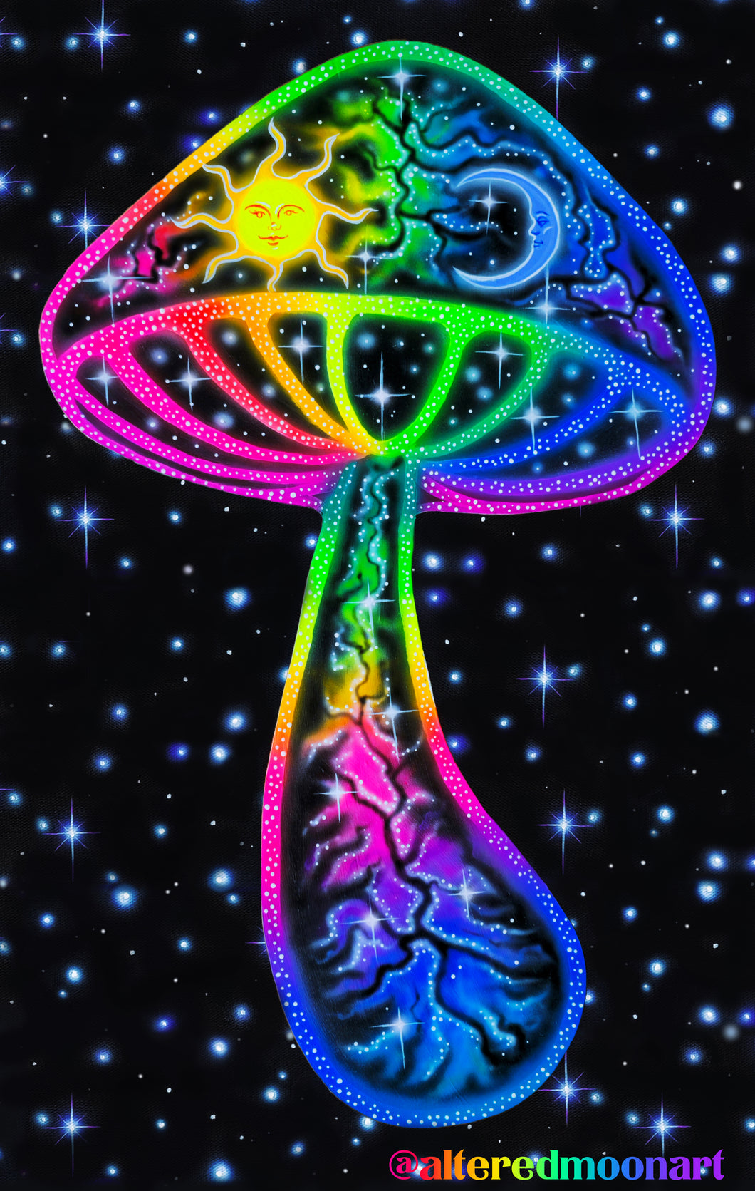 Celestial Mushroom Canvas Print